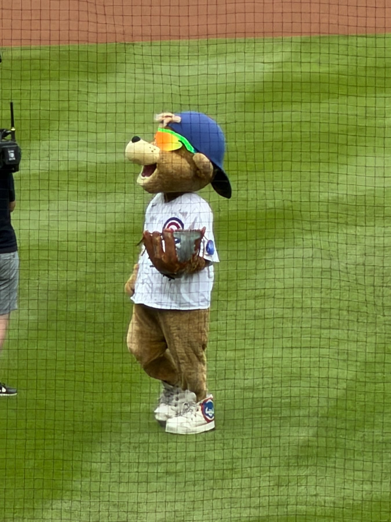 Wrigley Field trip photo