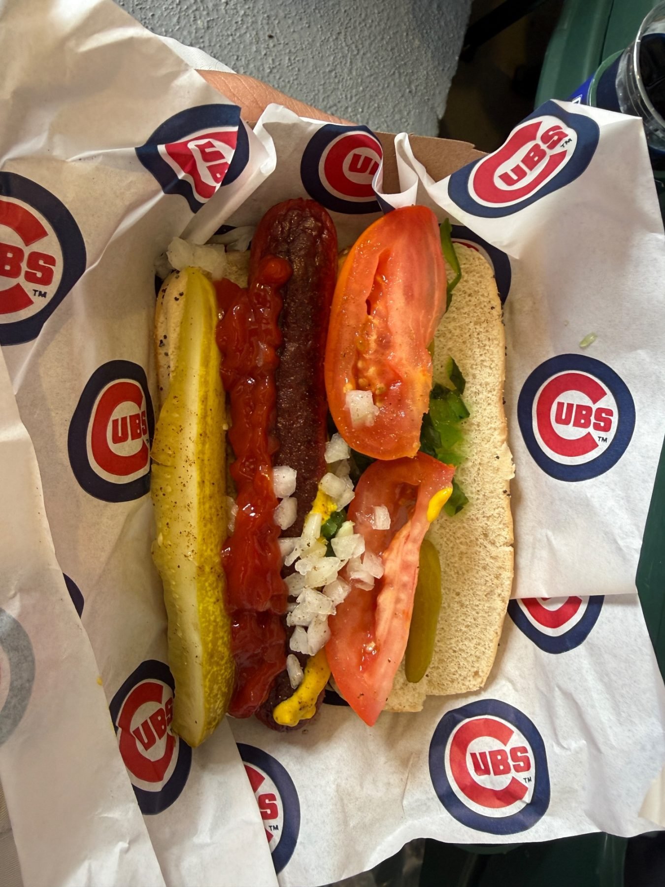 Wrigley Field trip photo