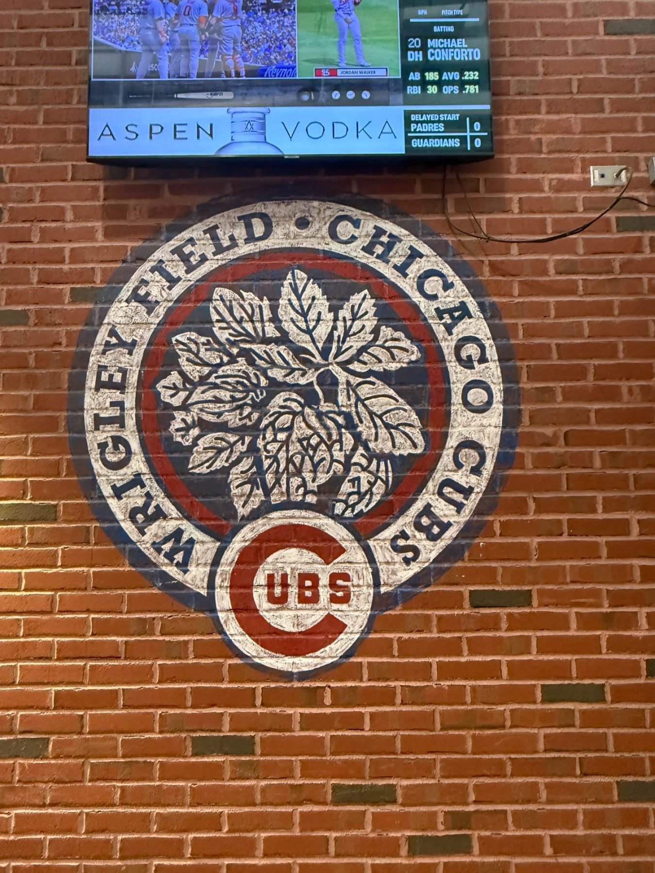 Wrigley Field trip photo