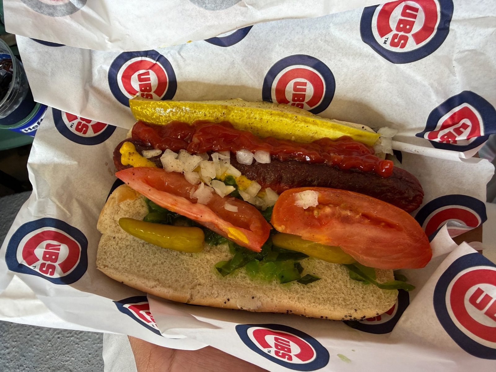 Wrigley Field trip photo