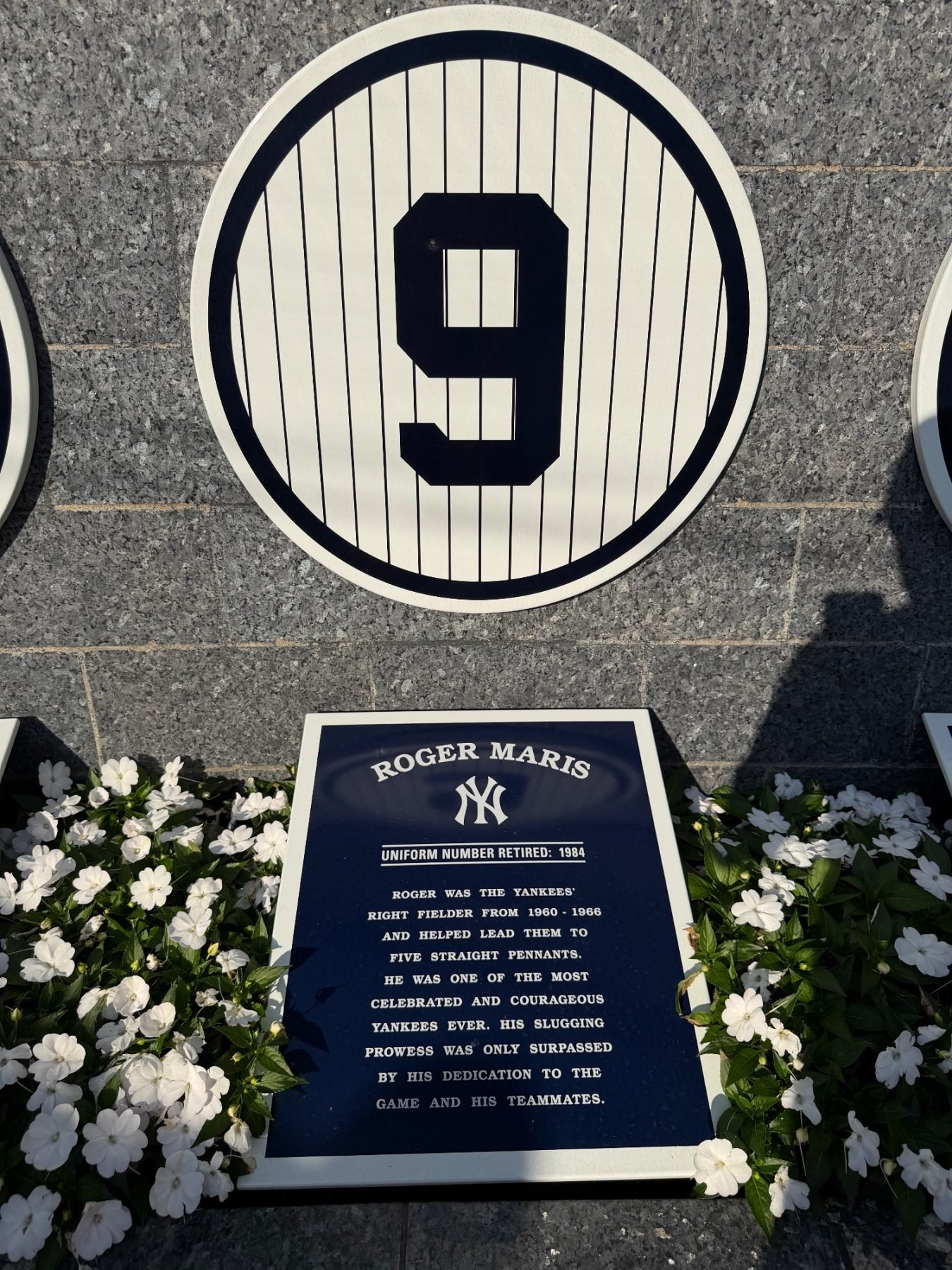 Yankee Stadium trip photo