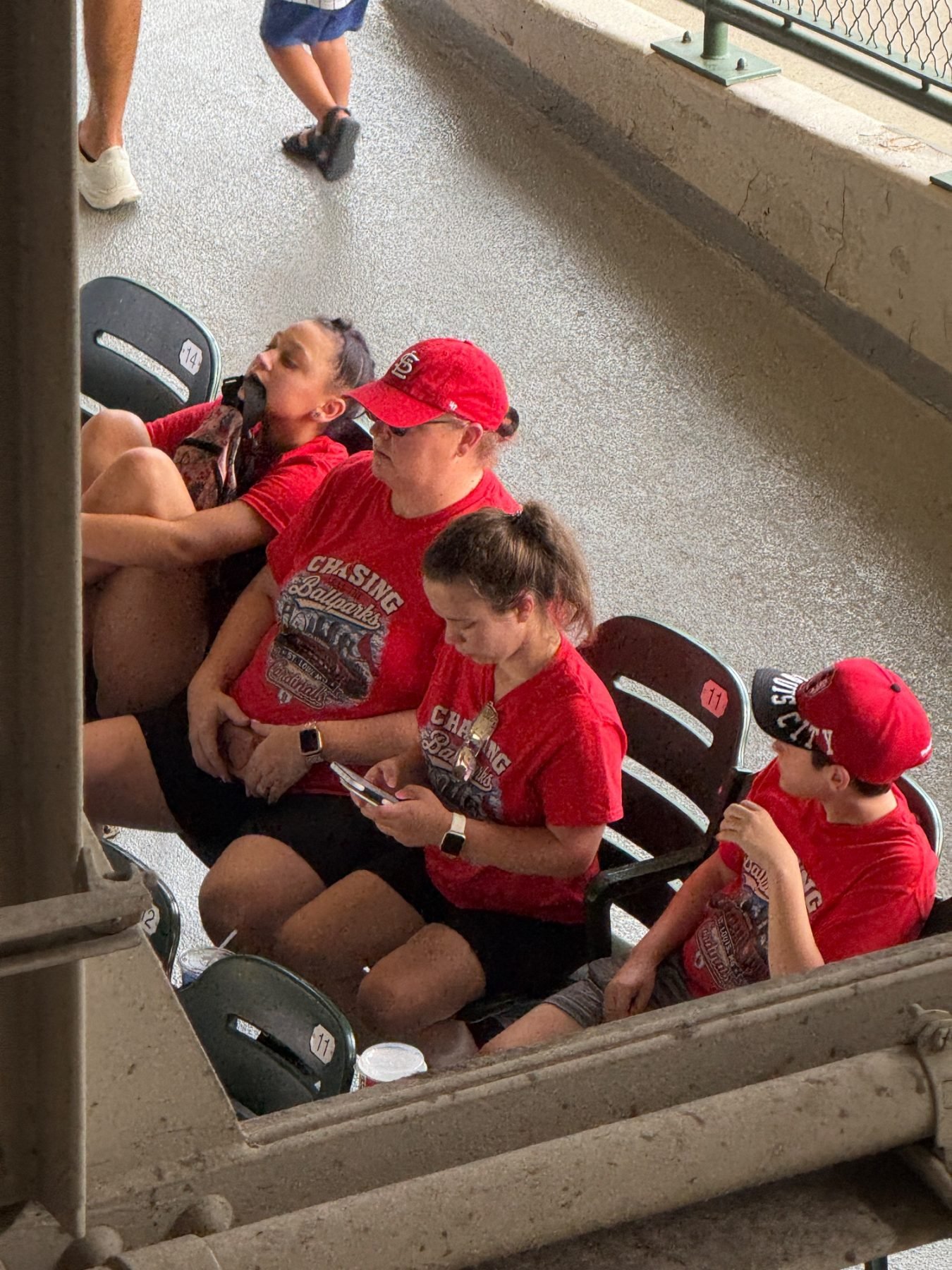 Wrigley Field trip photo